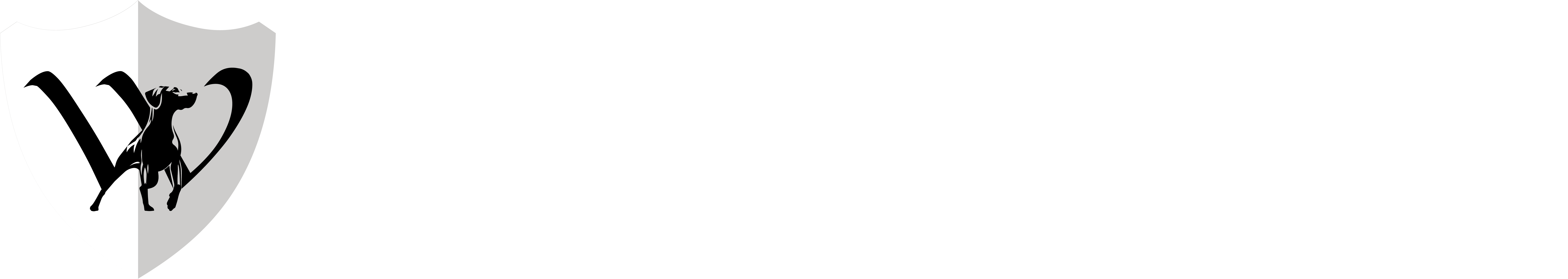 WMobility